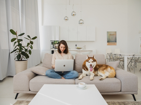 塞浦路斯移民時間周期及永居續(xù)簽條件更新